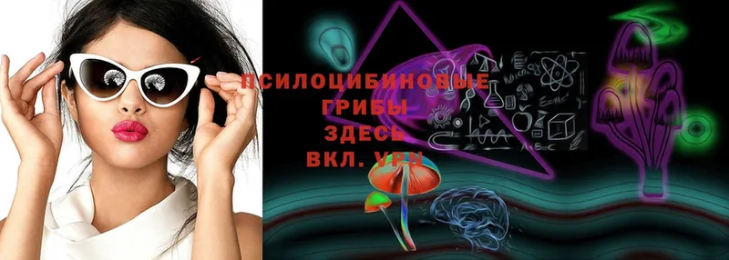 Псилоцибиновые грибы Psilocybe  купить закладку  Рославль 